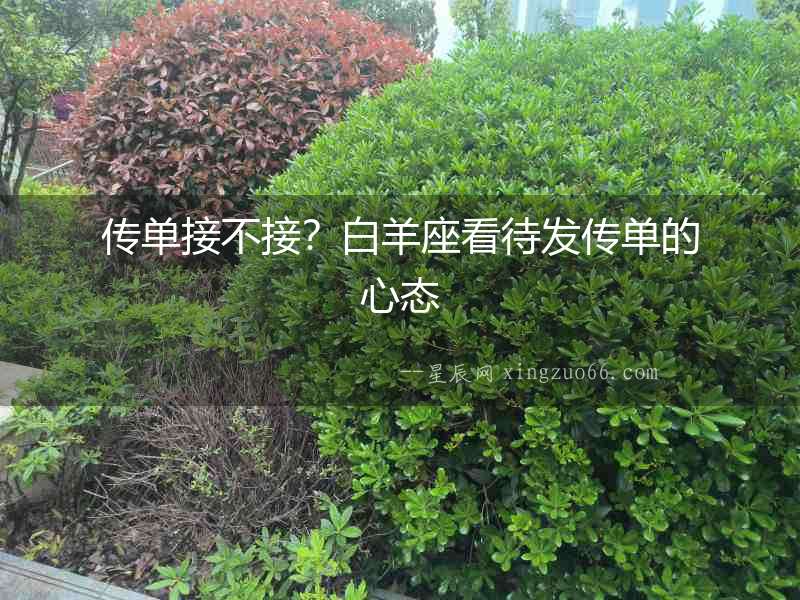 傳單接不接？白羊座看待發傳單的心態