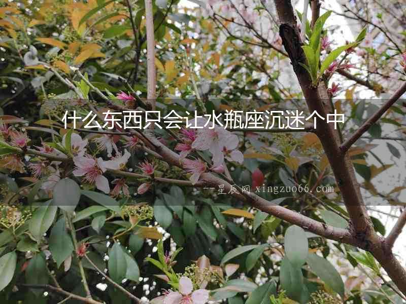 什么東西只會讓水瓶座沉迷個中