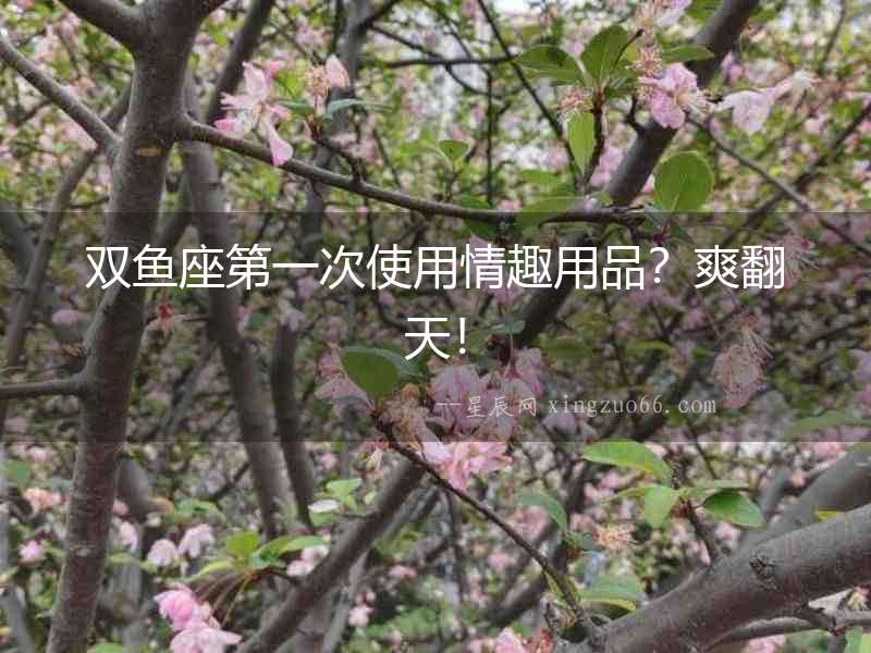 雙魚(yú)座第一次使用情趣用品？爽翻天！
