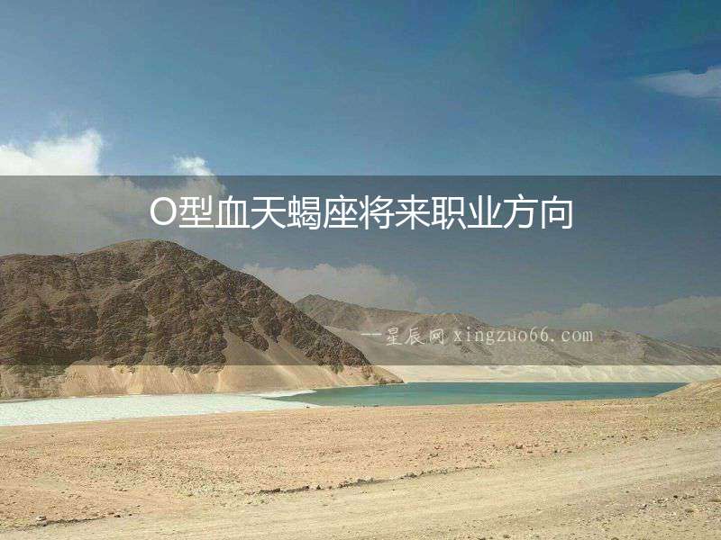 O型血天蝎座將來職業方向