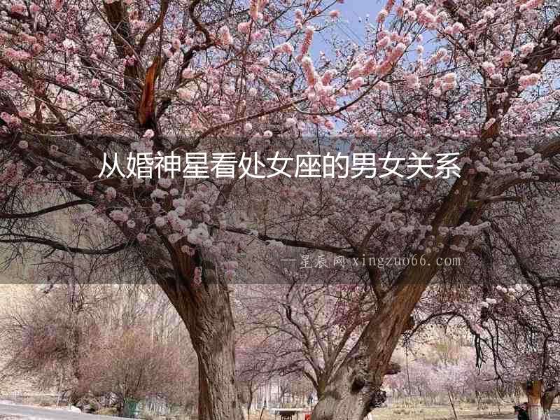 從婚神星看處女座的男女關系