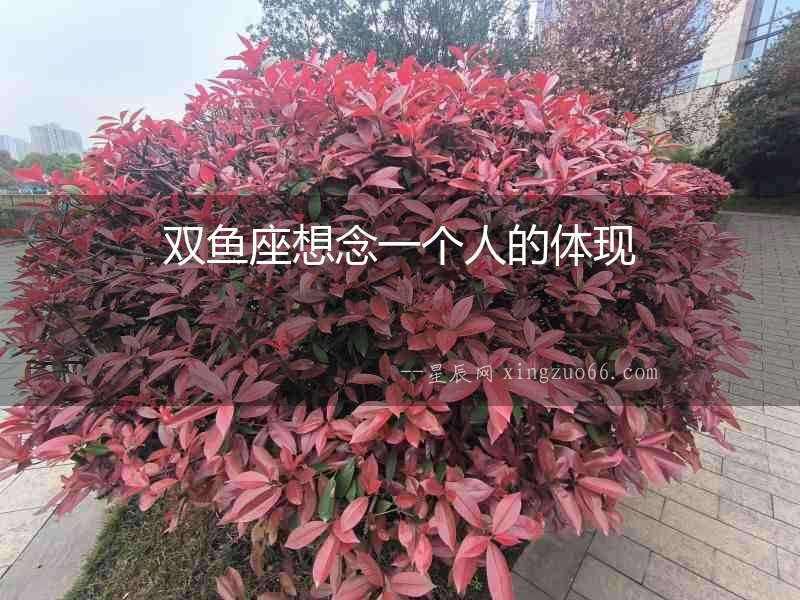 雙魚座想念一個人的體現(xiàn)