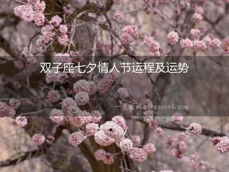 雙子座七夕情人節運程及運勢