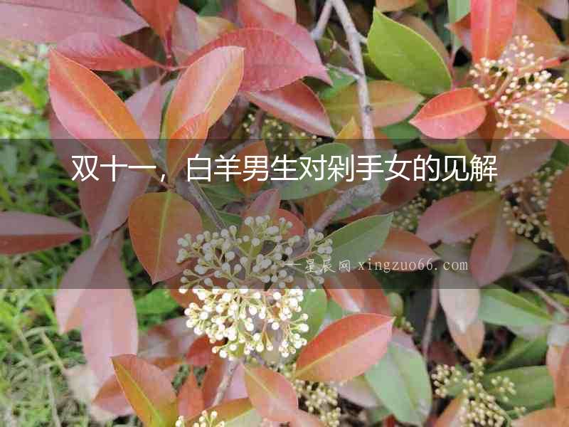 雙十一，白羊男生對(duì)剁手女的見(jiàn)解