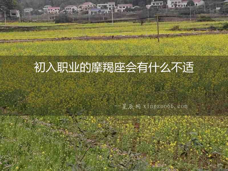 初入職業(yè)的摩羯座會有什么不適