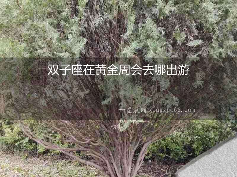 雙子座在黃金周會(huì)去哪出游