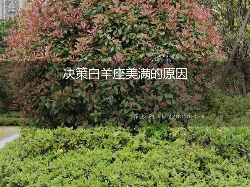 決策白羊座美滿的原因
