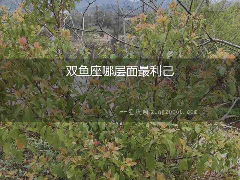 雙魚座哪層面最利己