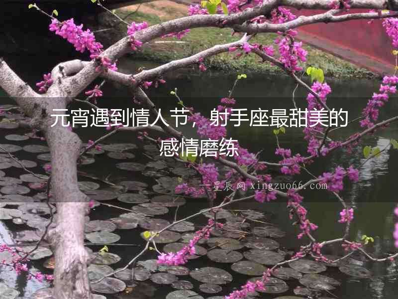 元宵遇到情人節，射手座最甜美的感情磨練