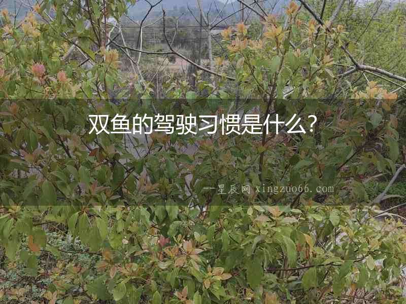 雙魚的駕駛習慣是什么？