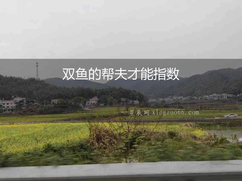 雙魚的幫夫才能指數