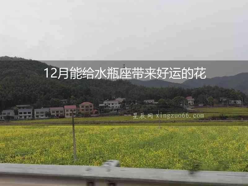 12月能給水瓶座帶來好運(yùn)的花