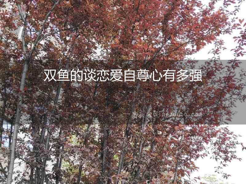 雙魚的談戀愛自尊心有多強(qiáng)