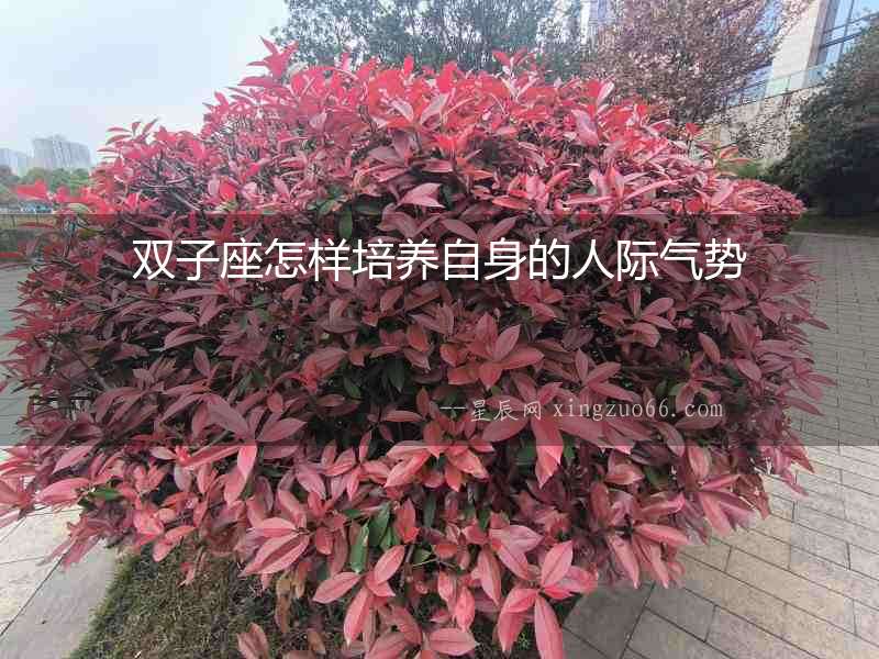 雙子座怎樣培養(yǎng)自身的人際氣勢(shì)