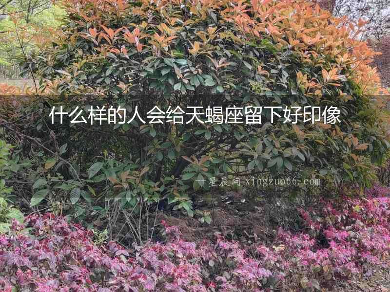 什么樣的人會給天蝎座留下好印像