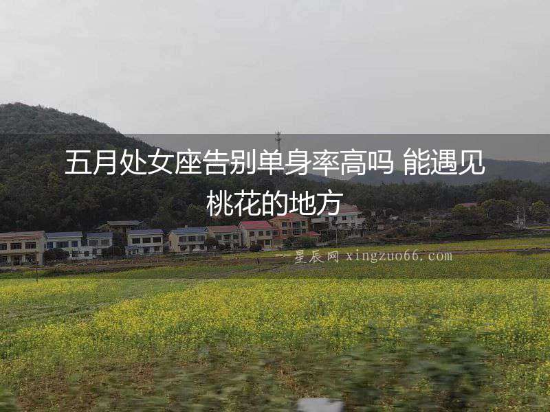 五月處女座告別單身率高嗎 能遇見桃花的地方