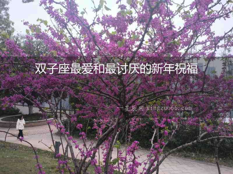 雙子座最愛(ài)和最討厭的新年祝福
