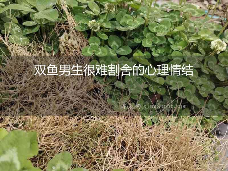雙魚男生很難割舍的心理情結(jié)