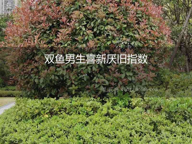 雙魚男生喜新厭舊指數