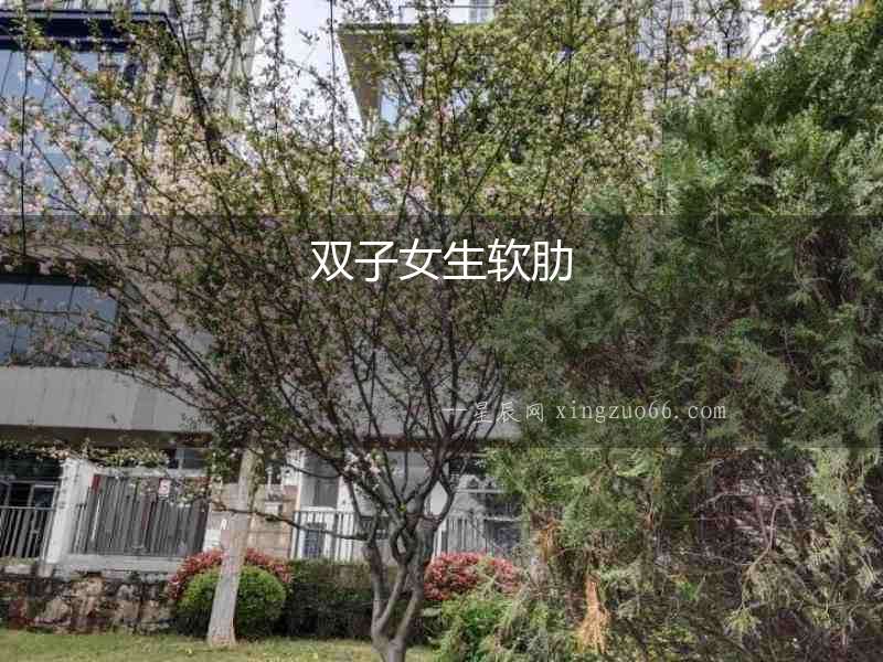 雙子女生軟肋