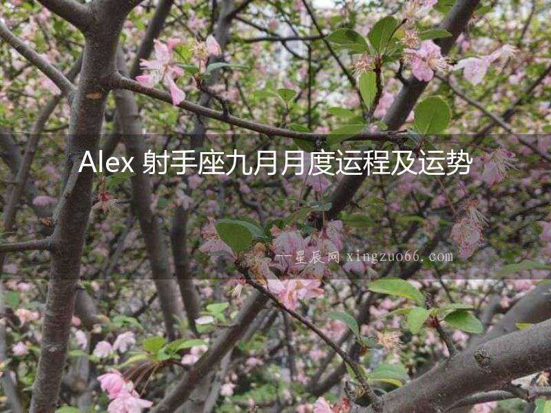 Alex 射手座九月月度運(yùn)程及運(yùn)勢