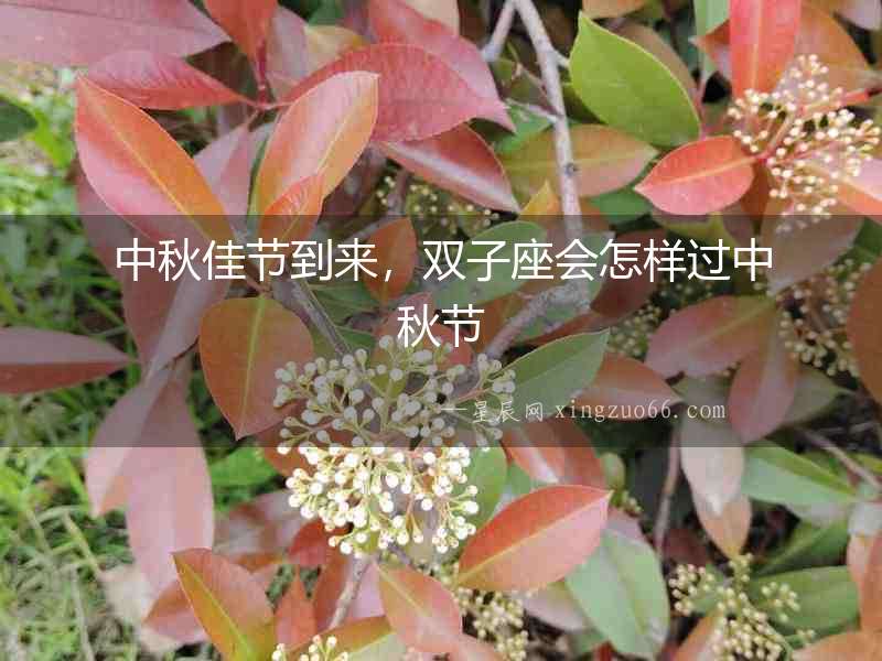 中秋佳節(jié)到來，雙子座會怎樣過中秋節(jié)