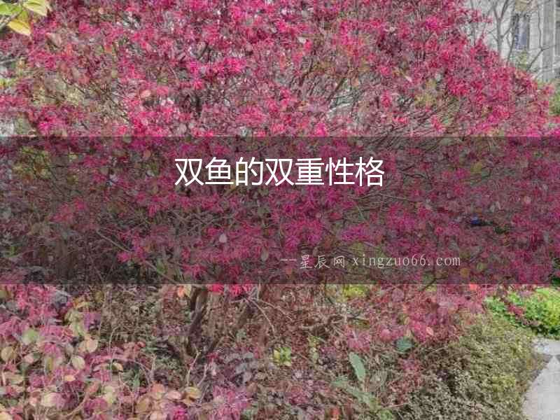 雙魚(yú)的雙重性格