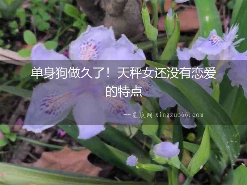 單身狗做久了！天秤女還沒有戀愛的特點