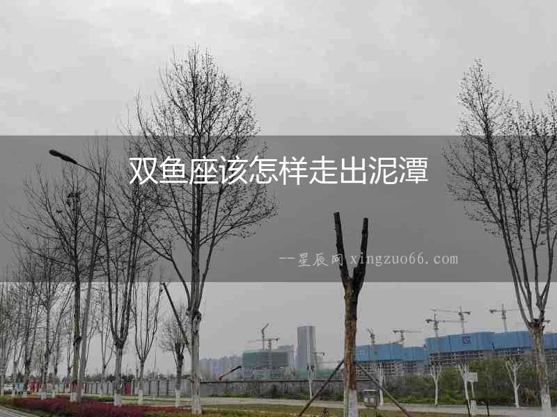 雙魚座該怎樣走出泥潭