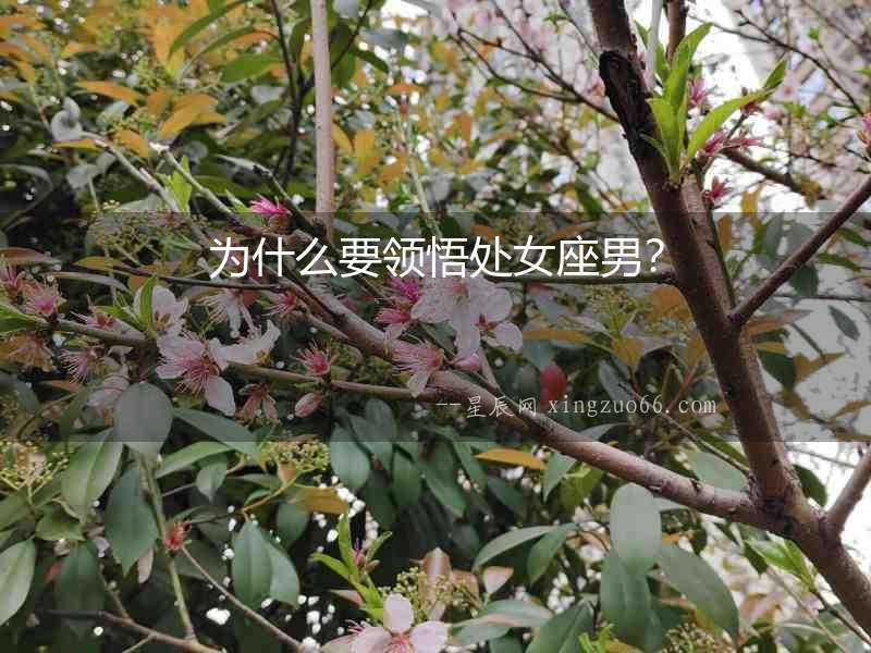 為什么要領悟處女座男？