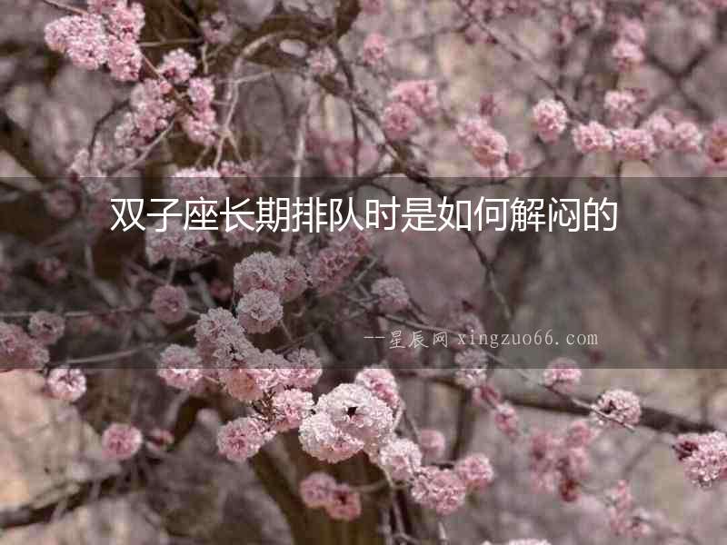 雙子座長期排隊時是如何解悶的