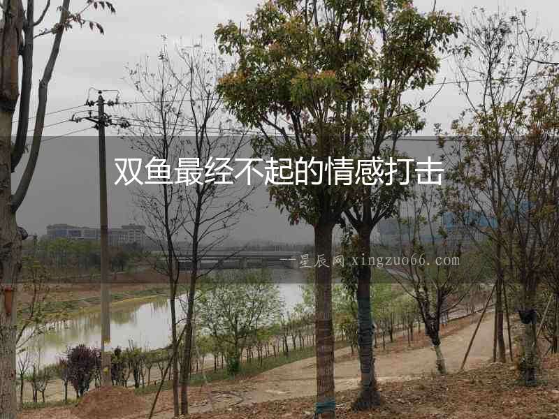 雙魚最經(jīng)不起的情感打擊