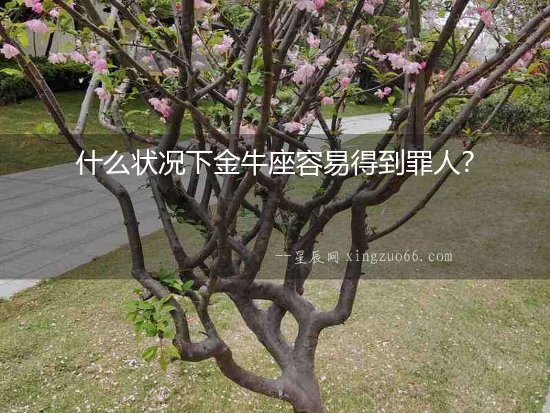 什么狀況下金牛座容易得到罪人？
