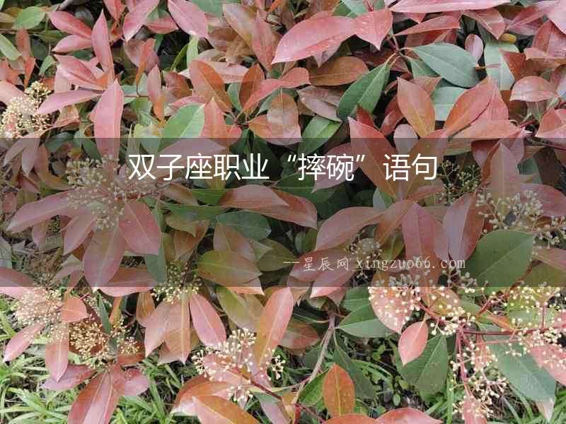 雙子座職業(yè)“摔碗”語句
