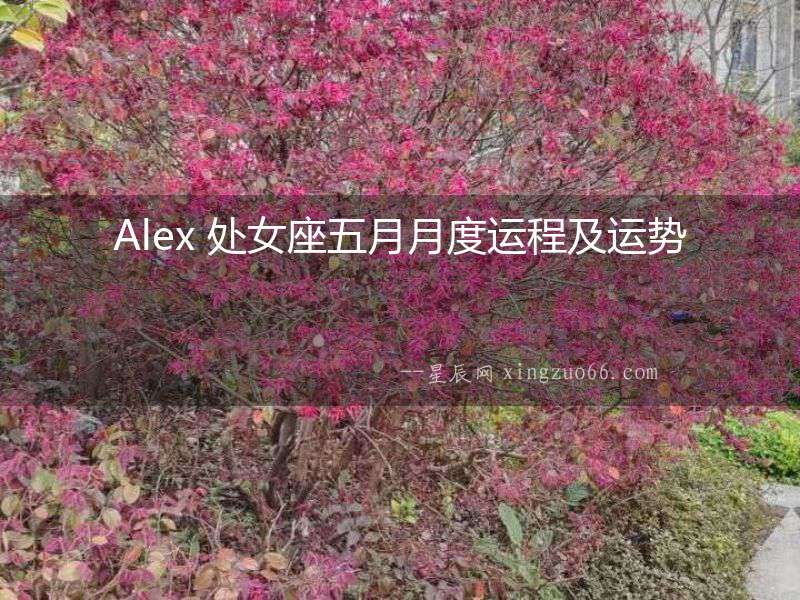 Alex 處女座五月月度運程及運勢
