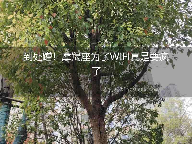 到處蹭！摩羯座為了WIFI真是要瘋了