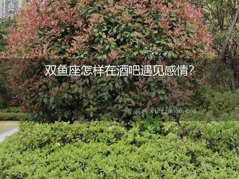 雙魚座怎樣在酒吧遇見感情？