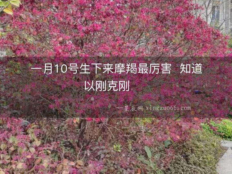 一月10號生下來摩羯最厲害  知道以剛克剛  　　