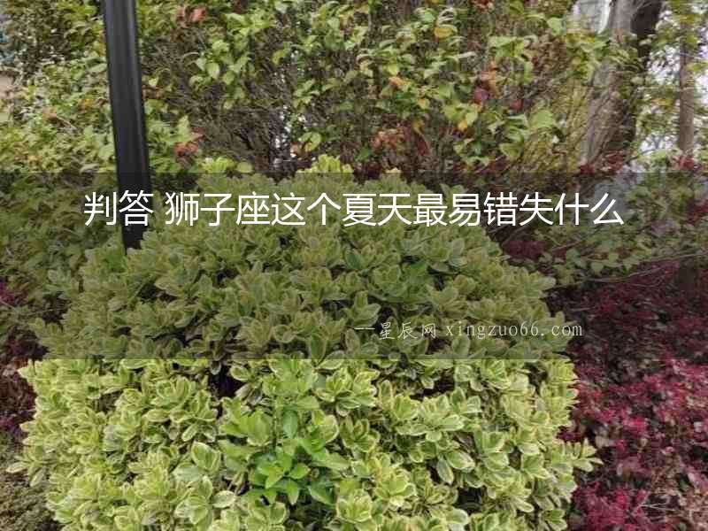 判答 獅子座這個夏天最易錯失什么