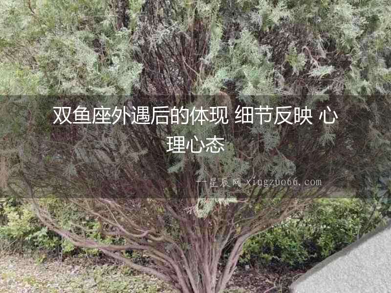雙魚座外遇后的體現(xiàn) 細節(jié)反映 心理心態(tài)