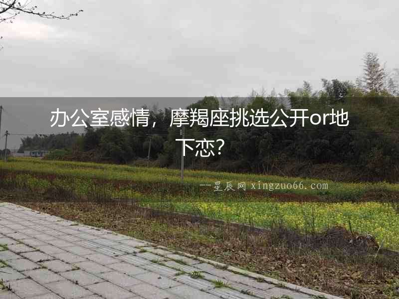 辦公室感情，摩羯座挑選公開or地下戀？