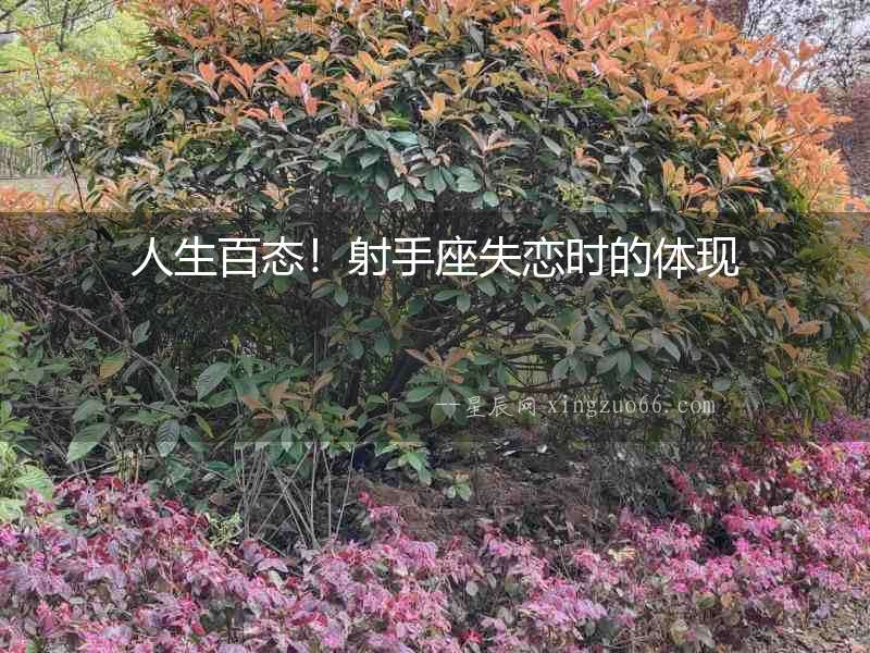 人生百態！射手座失戀時的體現