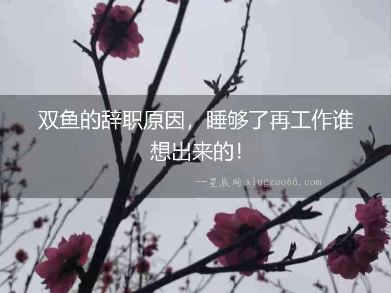 雙魚的辭職原因，睡夠了再工作誰想出來的！