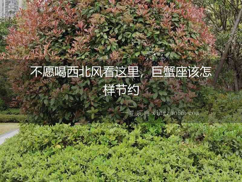 不愿喝西北風看這里，巨蟹座該怎樣節(jié)約