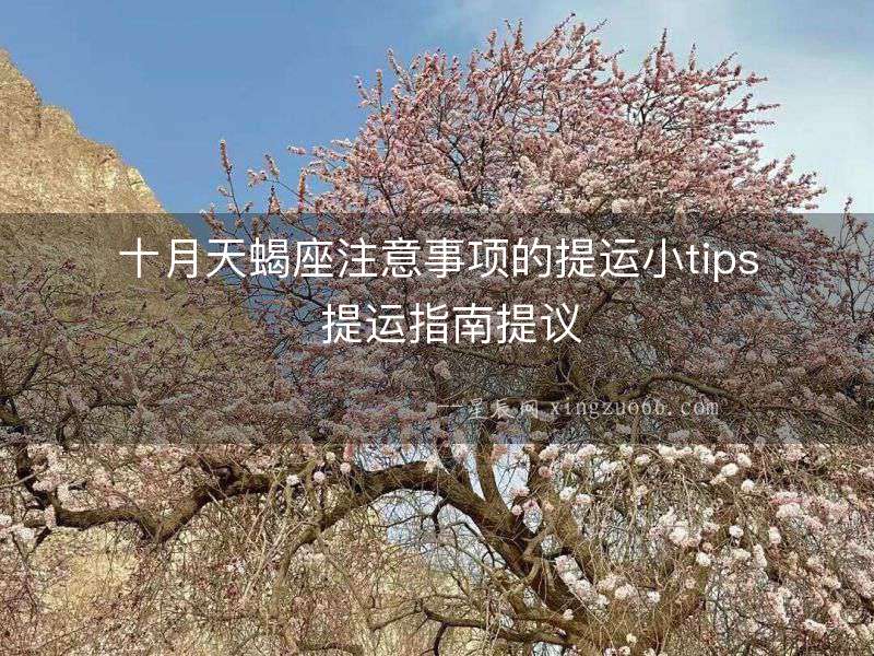 十月天蝎座注意事項的提運小tips  提運指南提議
