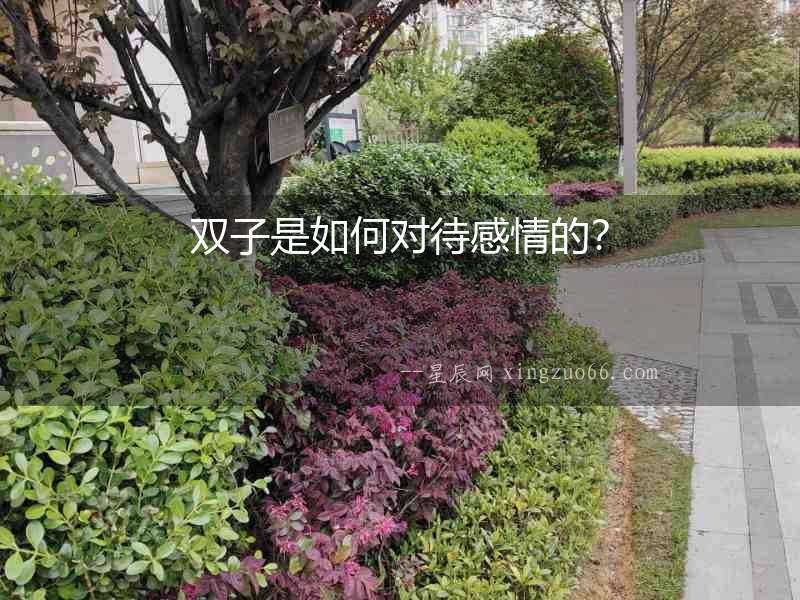 雙子是如何對待感情的？