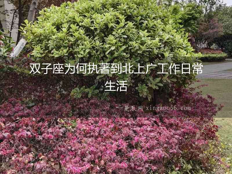 雙子座為何執著到北上廣工作日常生活