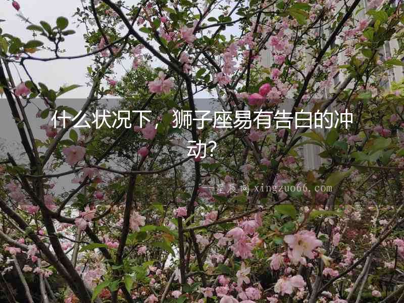 什么狀況下，獅子座易有告白的沖動(dòng)？