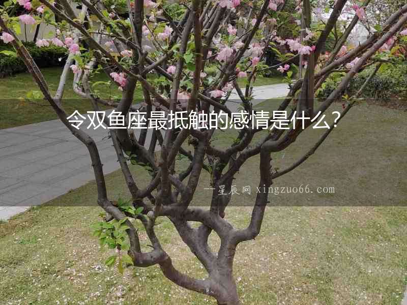 令雙魚座最抵觸的感情是什么？