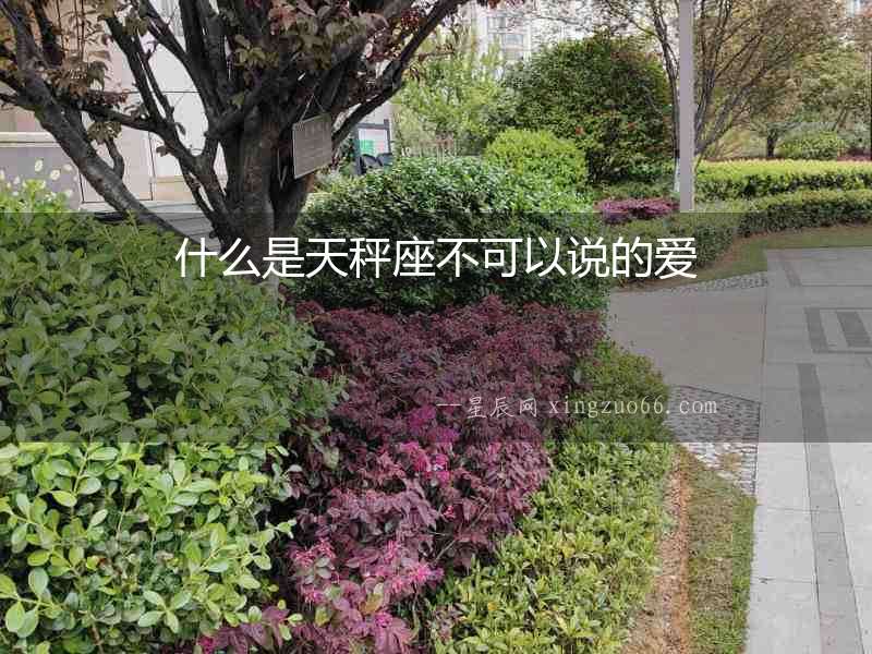 什么是天秤座不可以說的愛